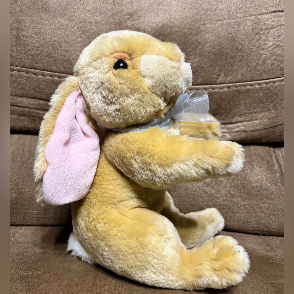 Commonwealth Bunny Rabbit - Picture 6 of 12
